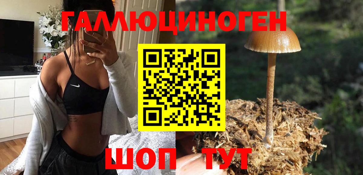 Псилоцибиновые грибы MAGIC MUSHROOMS Светлоград
